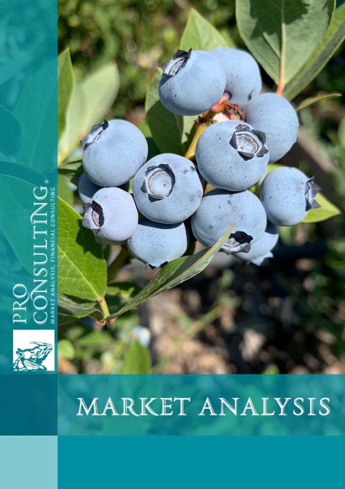 Analysis of the blueberry market in Ukraine. 2021 year